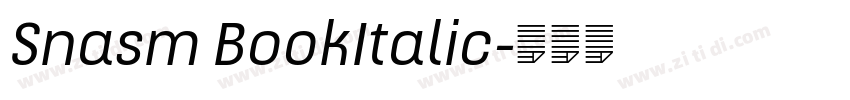 Snasm BookItalic字体转换